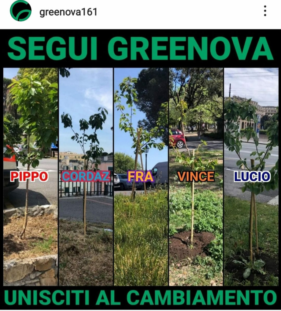 Greenova - Genova Guerriglia Gardening