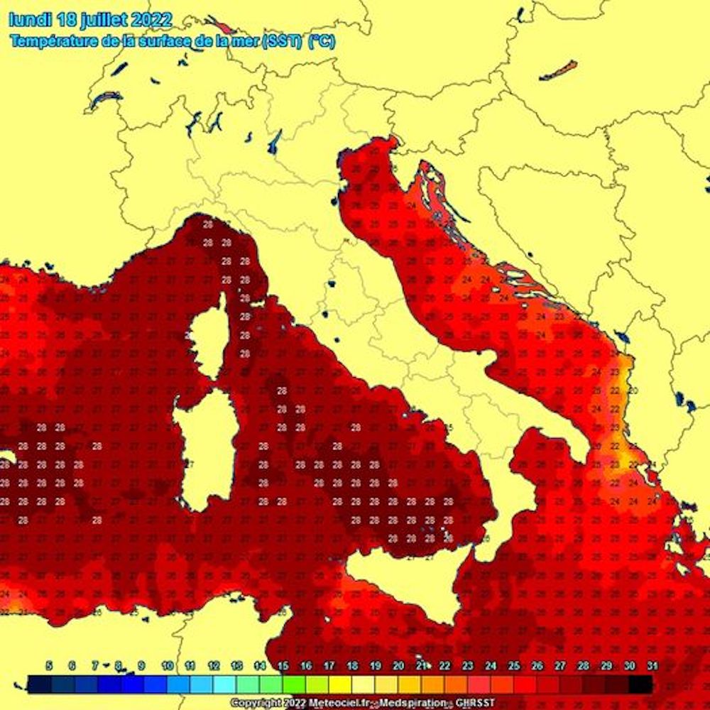 Liguria mare bollente. Ecosistemi