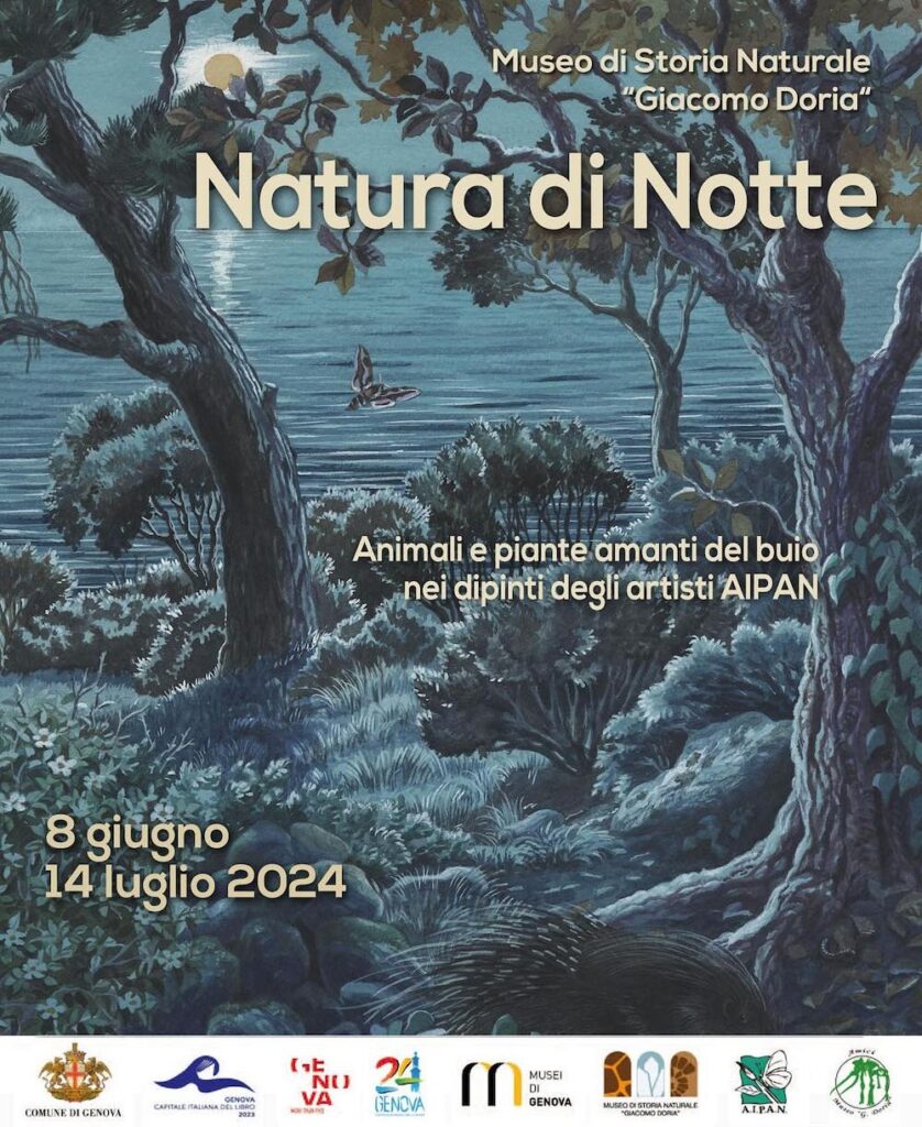 “Natura di notte” degli artisti AIPAN, Museo di Storia Naturale di Genova