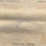 Anatomia di una balena: mostra Moby Dick - La balena. Una grande mostra dall’antichità all’arte contemporanea, Palazzo Ducale. Genova