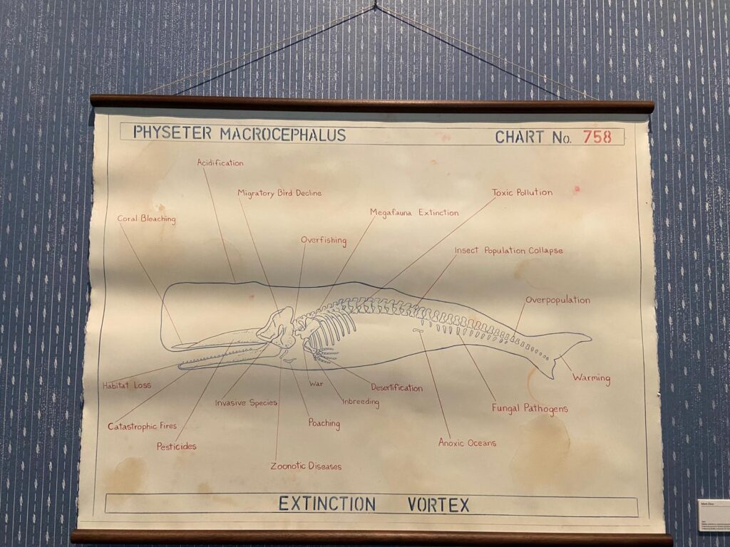 Anatomia di una balena: una grande mostra dall’antichità all’arte contemporanea, Palazzo Ducale. Genova