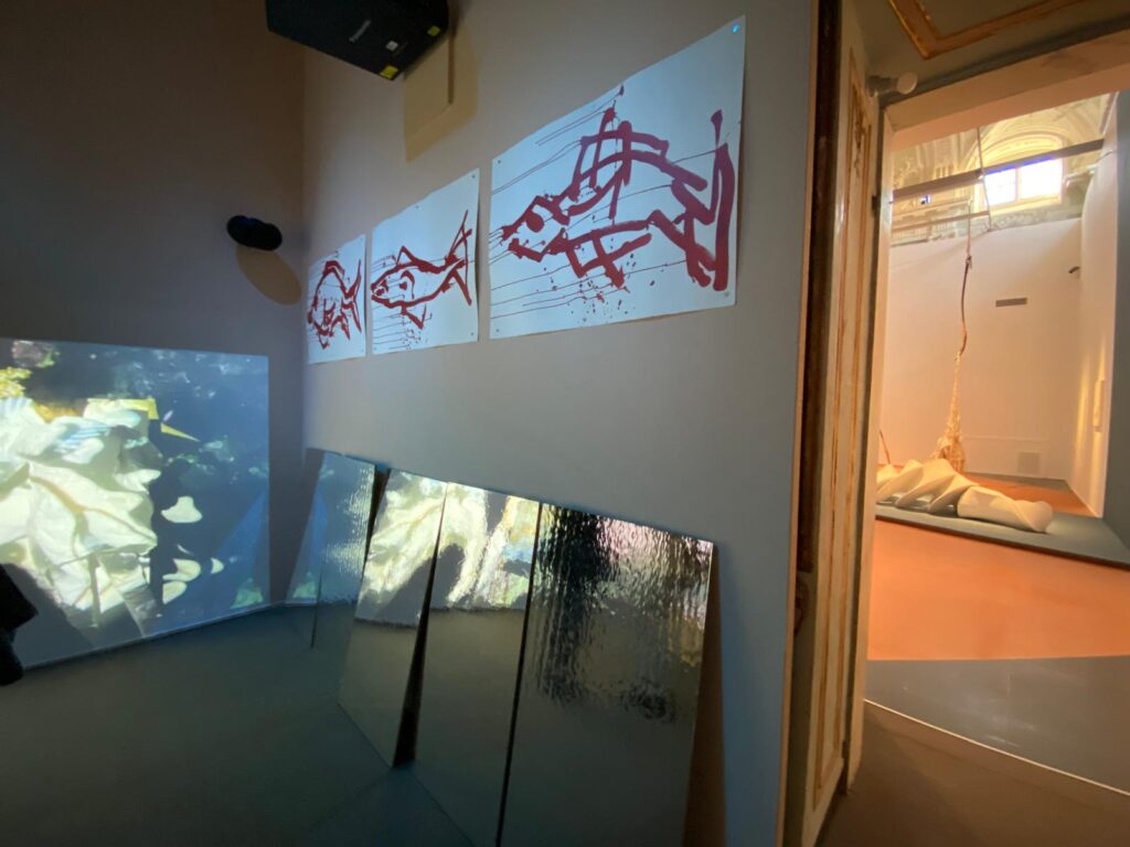 Anatomia di una balena: una grande mostra dall’antichità all’arte contemporanea, Palazzo Ducale. Genova