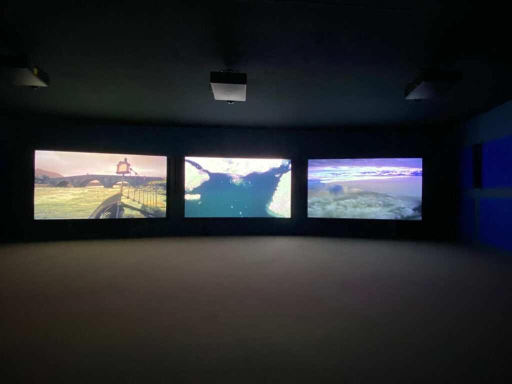 Anatomia di una balena: mostra Moby Dick - La balena. Una grande mostra dall’antichità all’arte contemporanea, Palazzo Ducale. Genova