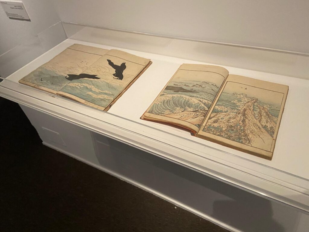 Anatomia di una balena: una grande mostra dall’antichità all’arte contemporanea, Palazzo Ducale. Genova