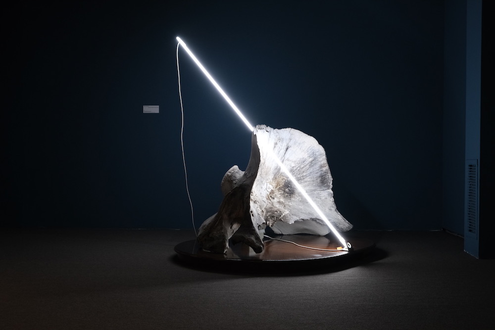 ZENARTOWN | Trasformazione alchemica e oggetti trovati: antropologia della luce.